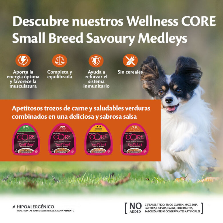 Wellness Core Small Breed Grain Free Cordero y Venado tarrina para perros, , large image number null